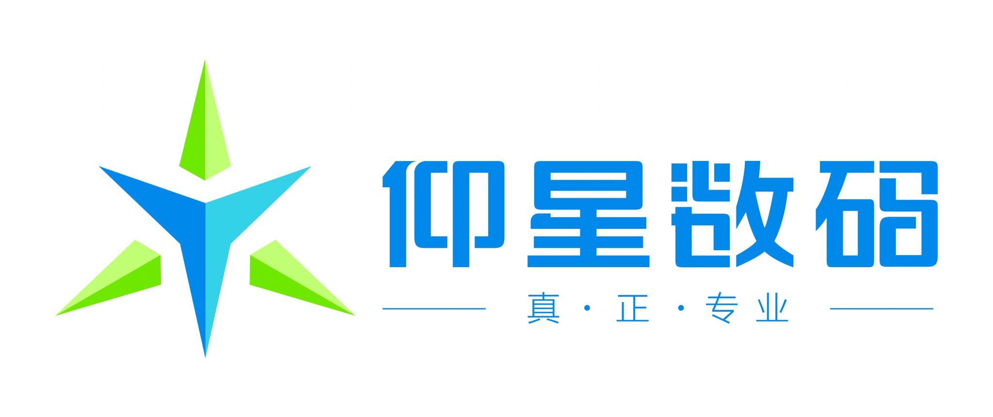 仰星数码logo
