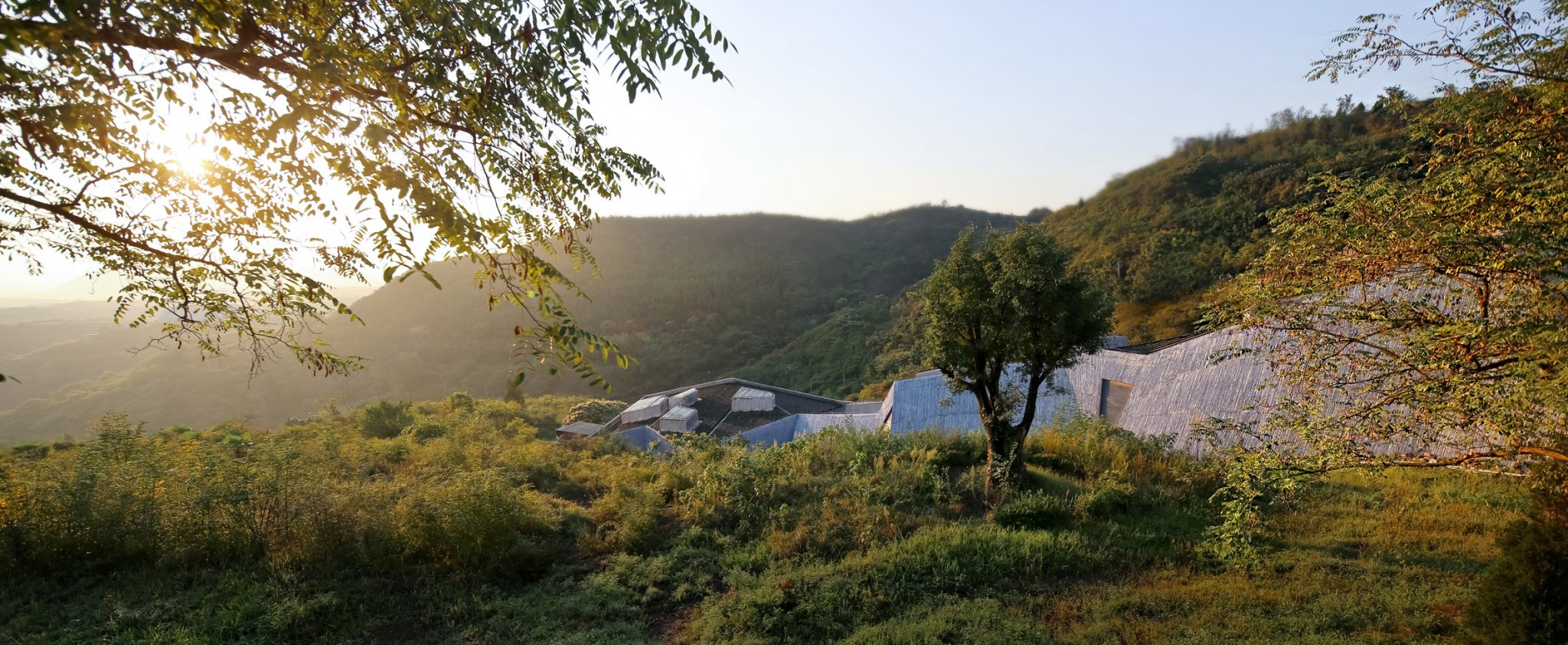 landscape 3