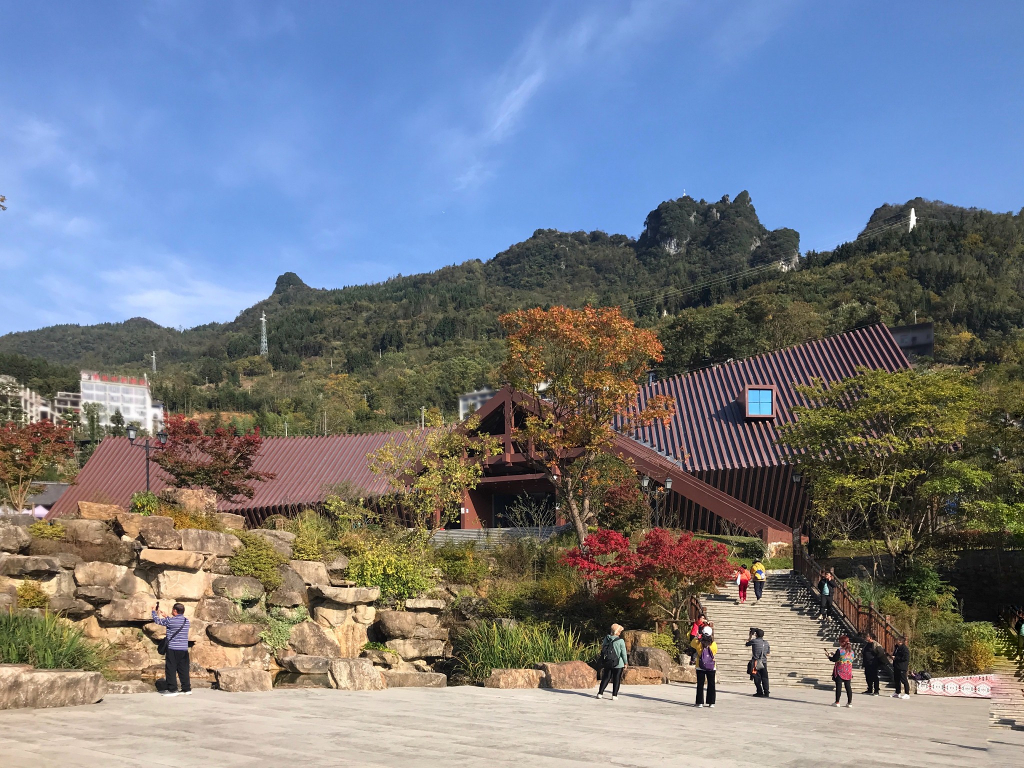 绿化好