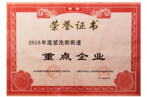 2018年度浆洗街街道重点企业