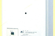 REU-V2400FFU-24公升對衡式熱水器