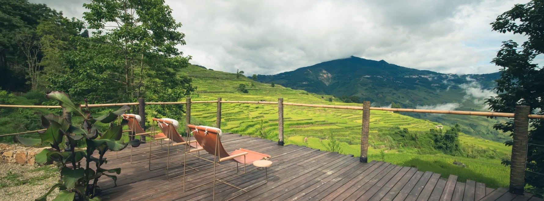 Facing to the Rice Terrace