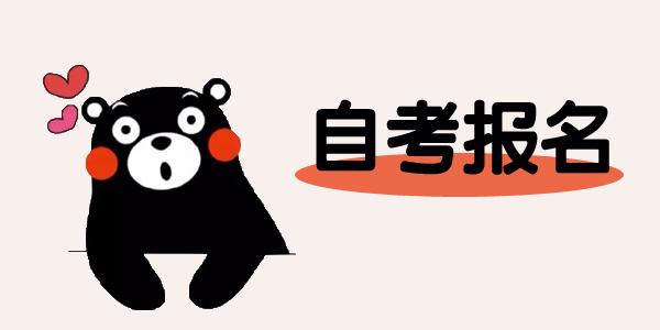 自考本科报名