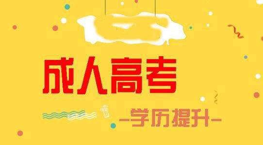 成人高考专升本