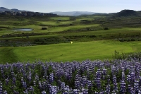冰岛高尔夫球场-雷克雅未克高尔夫 (3)
