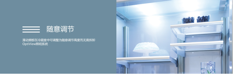 X-PRO系列6