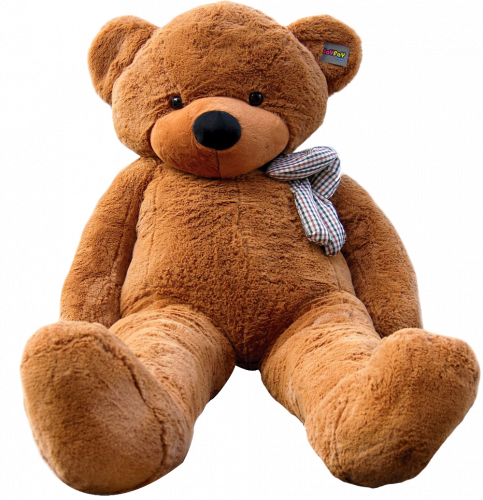bear plushie