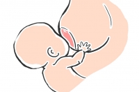 催乳师