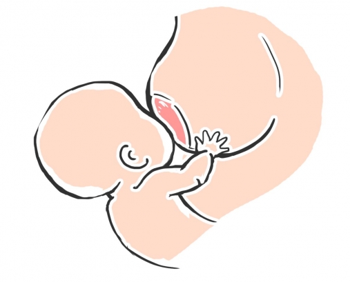 催乳师