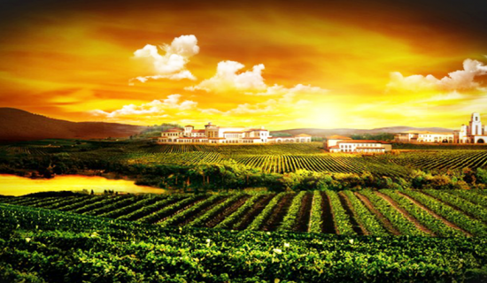 蓬莱南王山谷葡萄酒旅游小镇