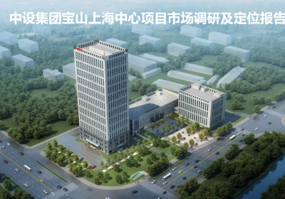 中设集团 上海中心 项目 市场调研及定位报告