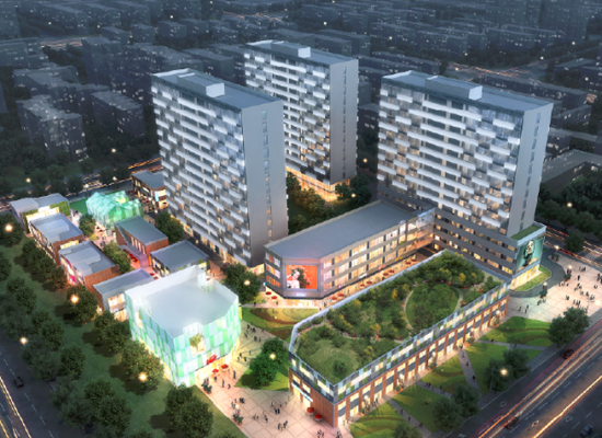 上海 ? 曹路新市鎮(zhèn)D1-6/11地塊