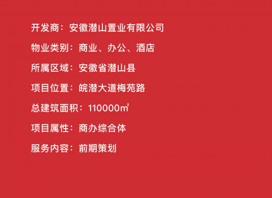 項(xiàng)目文字-70