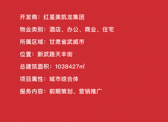 項(xiàng)目文字-66