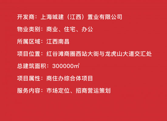 項(xiàng)目文字-28