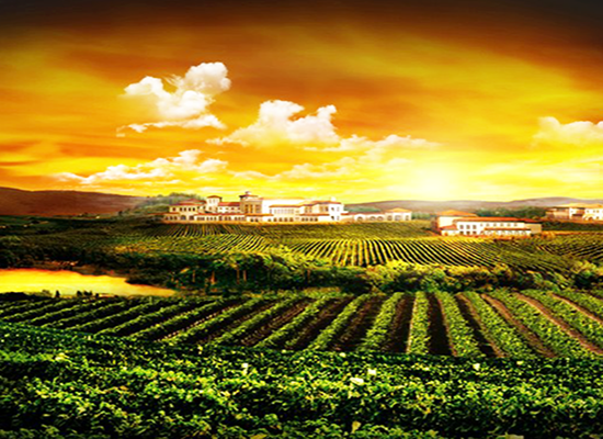 蓬萊南王山谷葡萄酒旅游小鎮