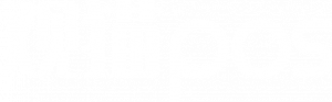 观猫POS
