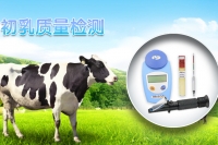初乳