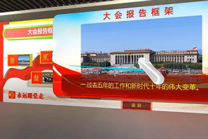 6.大会报告与报告金句