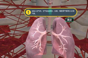 VR人体的奥秘