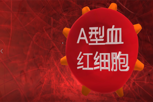 VR血液科普