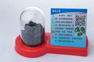 仿真毒品模型