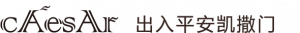 自动门-闭门器-多玛自动门-地弹簧-松下自动门-广州市凯泽门控有限公司