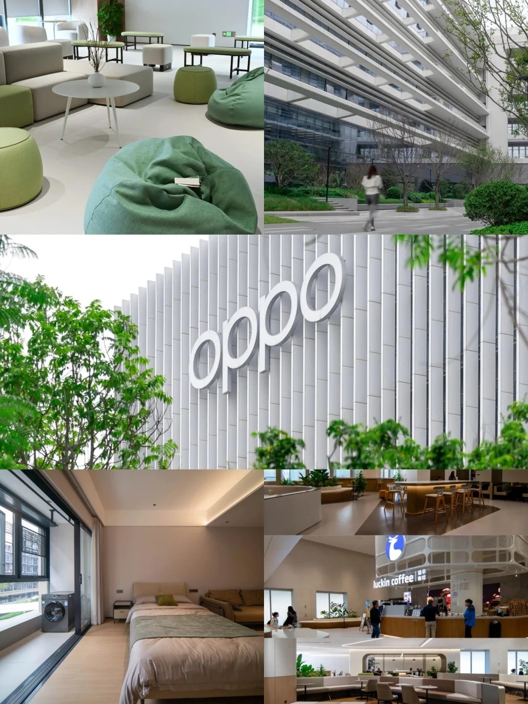 實(shí)拍！東莞OPPO新園區(qū)，你真有點(diǎn)東西！_1_東莞發(fā)布_來自小紅書網(wǎng)頁版
