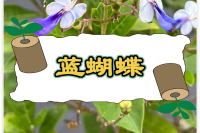紙缽機-蔬菜育苗-扦插育苗-穴盤育苗-輕基質(zhì)網(wǎng)袋-輕基質(zhì)育苗容器成型機-輕基質(zhì)灌裝機-恩茁科技