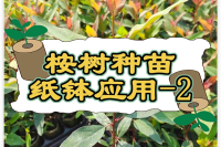 紙缽機(jī)-蔬菜育苗-扦插育苗-穴盤育苗-輕基質(zhì)網(wǎng)袋-輕基質(zhì)育苗容器成型機(jī)-輕基質(zhì)灌裝機(jī)-恩茁科技
