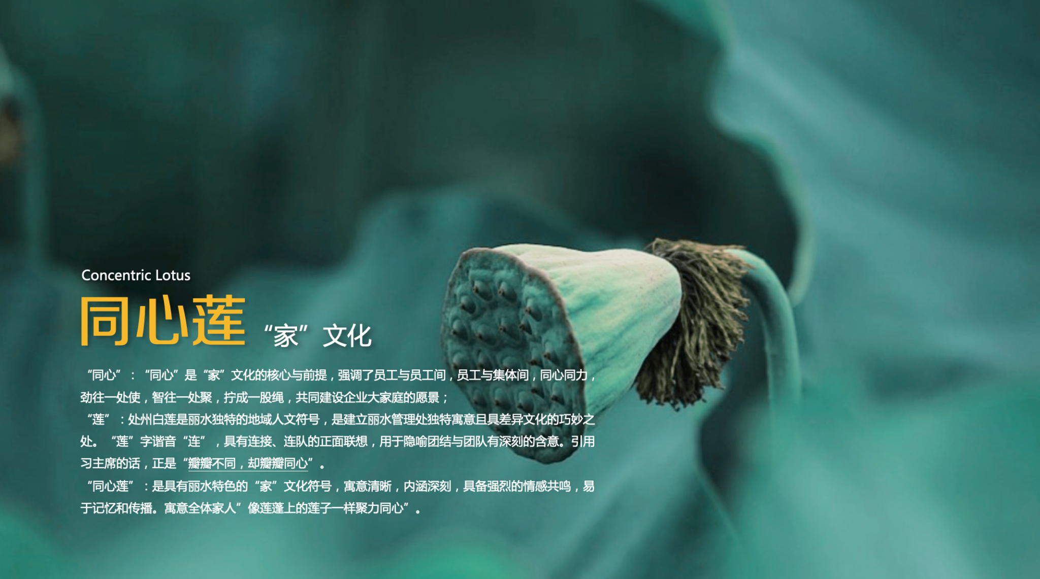 企业文化建设-达岸品牌战略咨询 企业文化建设-达岸品牌战略咨询