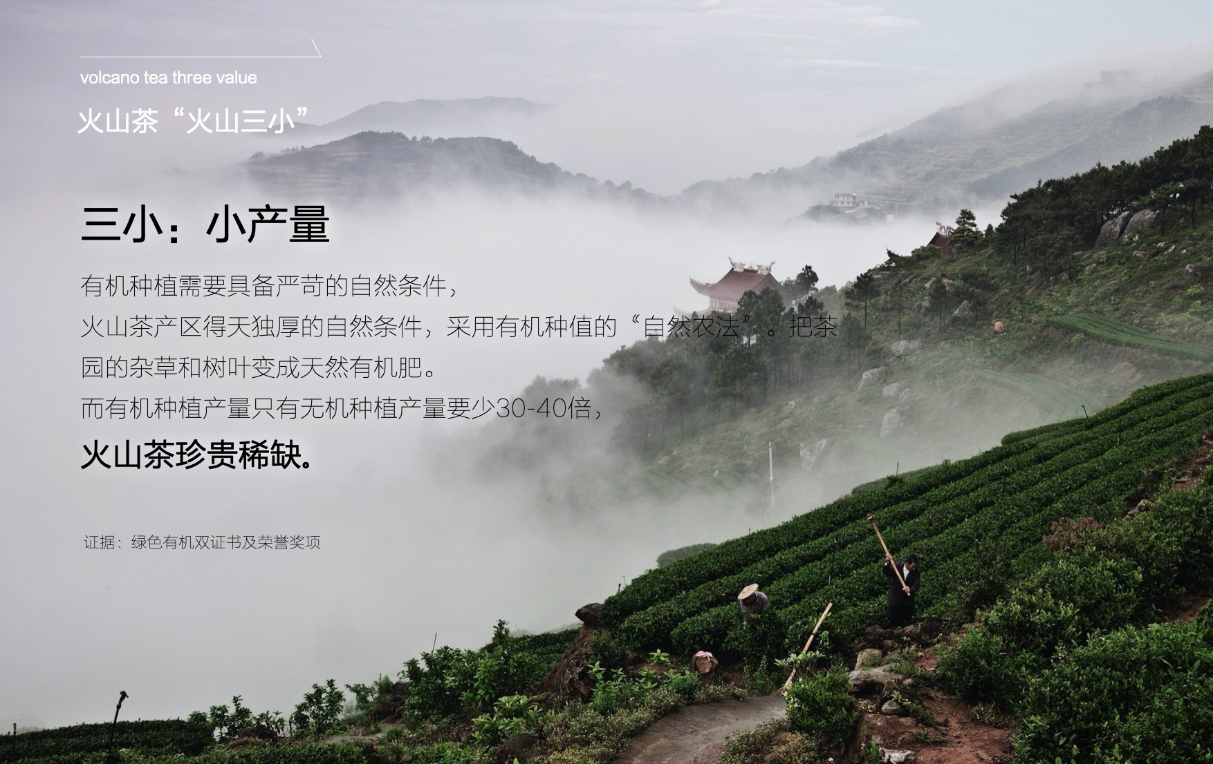 食品品牌策划设计-茶叶品牌策划-杭州品牌营销咨询 食品品牌策划设计-茶叶品牌策划-杭州品牌营销咨询