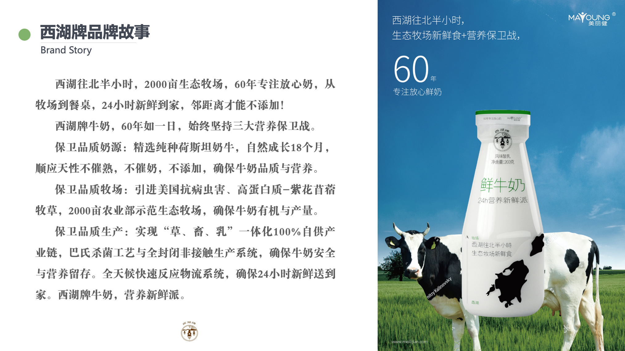 西湖牌牛奶-食品包装策划-达岸品牌营销咨询