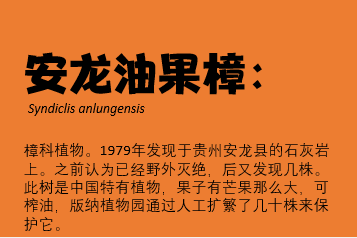 QQ图片20190823160852
