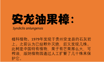 QQ图片20190823160852