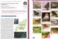 印度生物多样性专题一：印度东北部那加兰邦蝴蝶多样性1