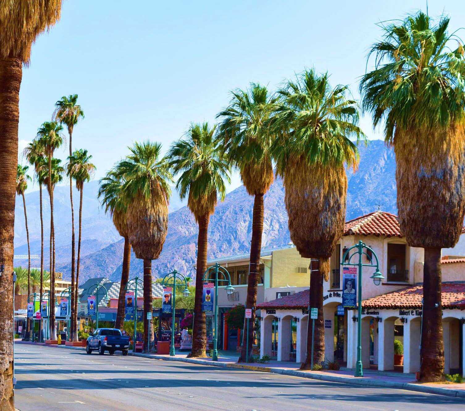 Palm Springs Cut