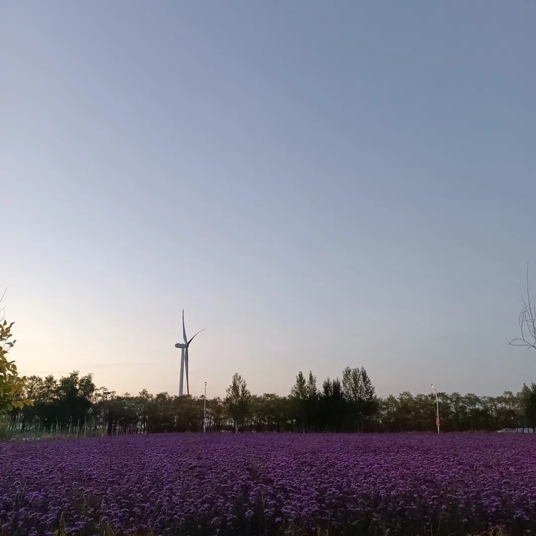 00