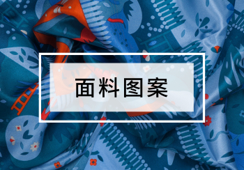面料图案