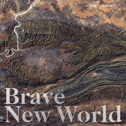 Brave New World V2
