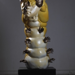 10.贾江宏龙虫2010