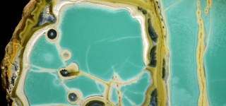 33810311362_2b5e71ab19_o(1)