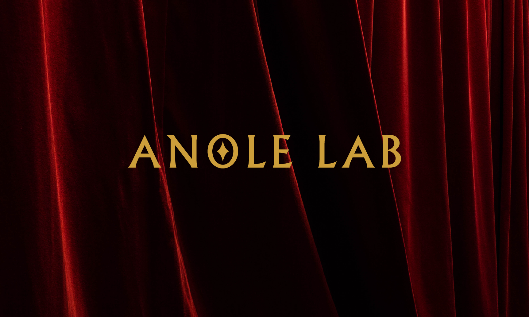 案例整理- ANOLE LAB-05