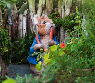 Peter-Rabbit-1