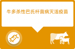cow 拷贝 3