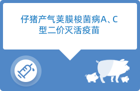 偽狂犬病活疫苗 拷貝 13