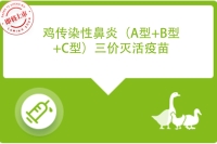 鼻炎三价苗产品封面