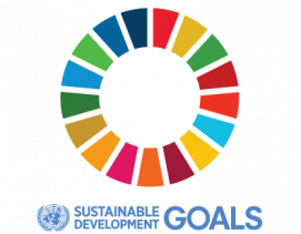SDG-logo-transparent