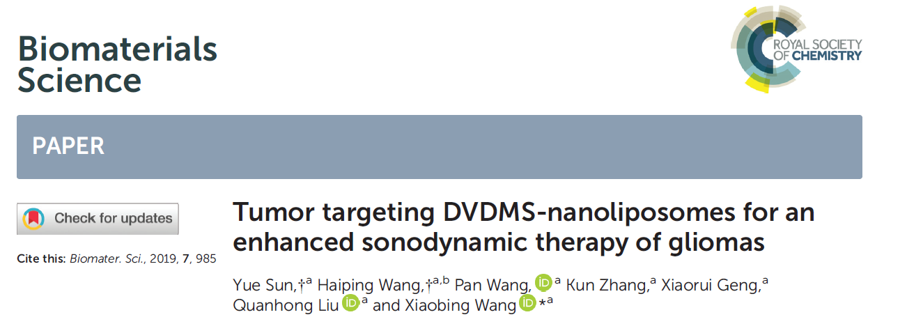 Tumor targeting DVDMS-nanoliposomes for an enhanced sonodynamic therapy of gliomas