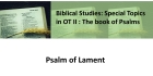 Psalm of Lament